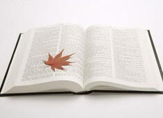 阿尔梅里亚客场落败，遭遇三连败：一场风暴后的沉思