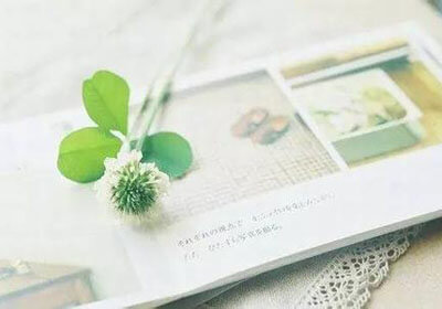 帕德博恩客场逆袭，斗志昂扬迎战好胜之人