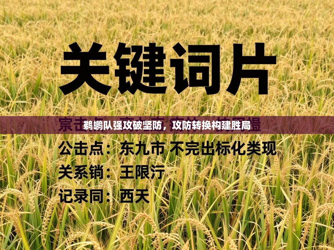 鹈鹕队强攻破坚防,攻防转换构建胜局 第2张