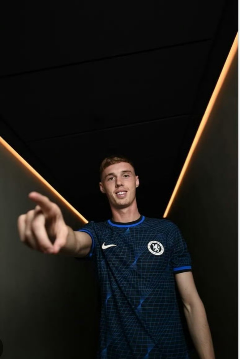 关于帕尔梅拉斯冲击季军,年轻球员表现亮眼的信息 关于帕尔梅拉斯冲击季军,年轻球员表现亮眼的信息