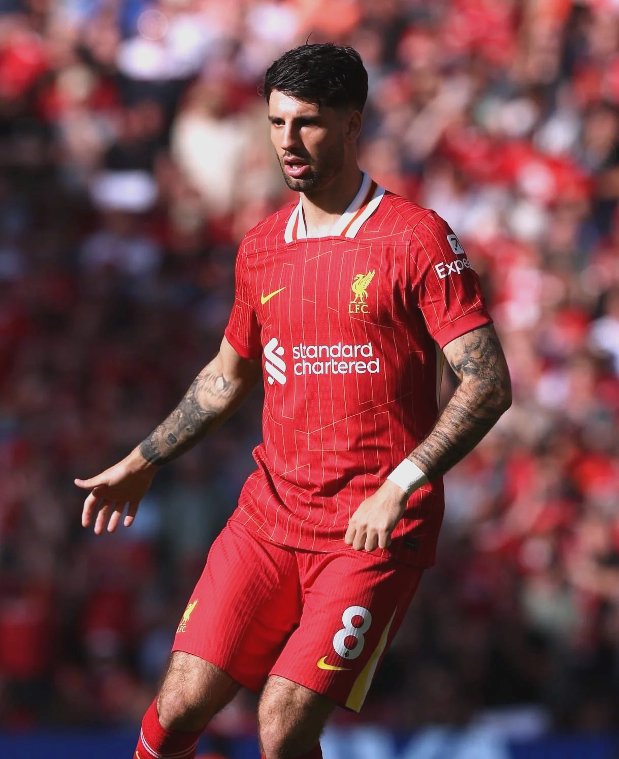 匈牙利国家队出色发挥,实现欧锦赛晋级的简单介绍 匈牙利国家队出色发挥,实现欧锦赛晋级的简单介绍