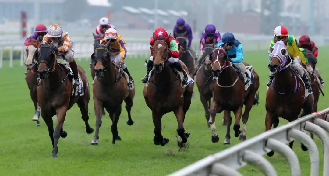 关于北京球队今季升降级形势，青年队表现不俗的信息